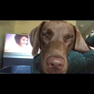 Meet your Posher, Kaylee